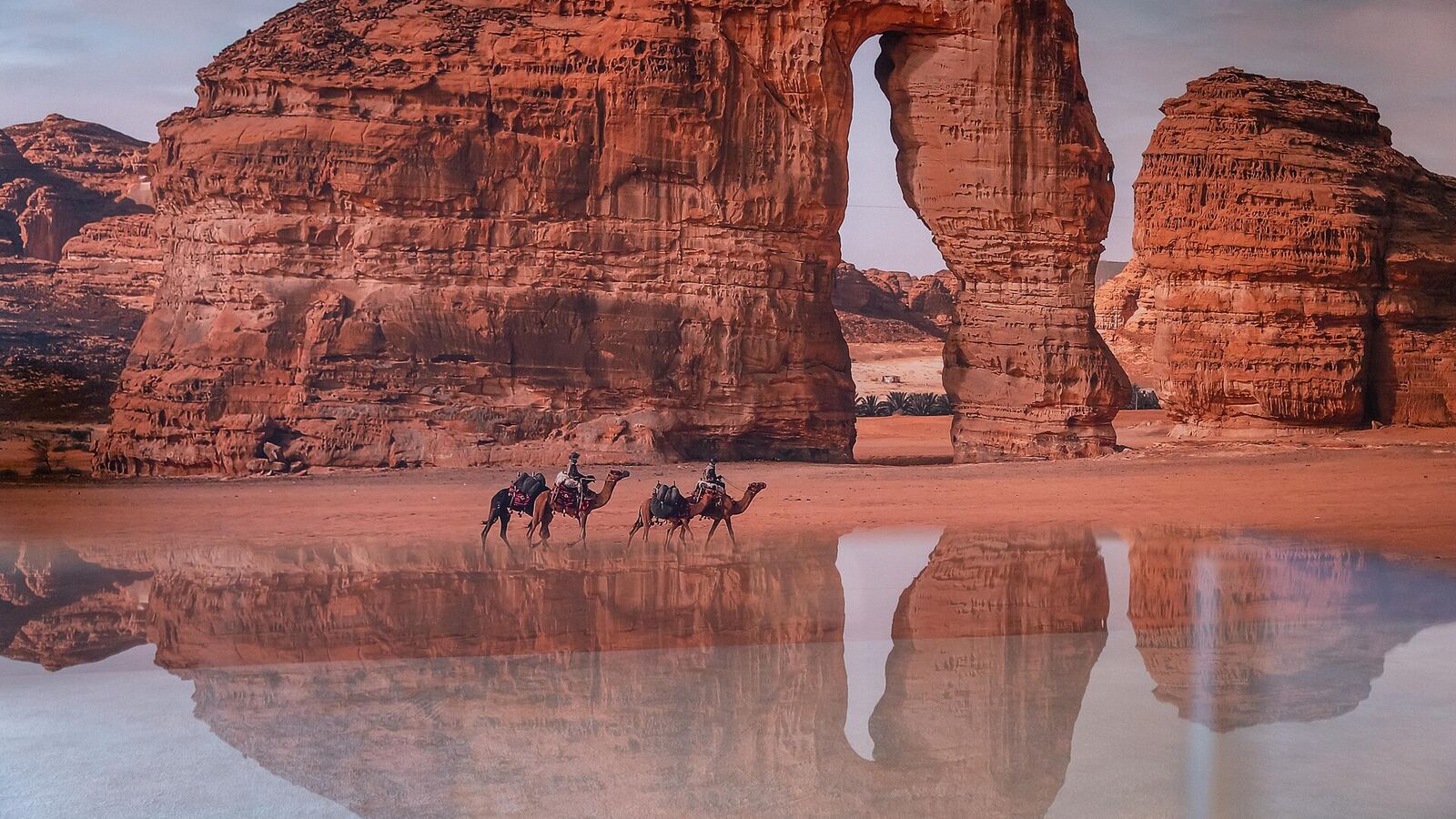Elephant Rock in AlUla weerspiegeld in water met kamelen bij zonsondergang